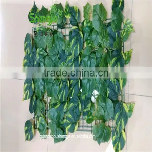 SJLJ013536 Factory Price Artificial Boxwood Green Hedge Fake Plastic Grass thumbnail-2