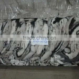 Frozen Cuttlefish thumbnail-2