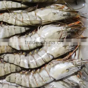 HL002 Best Price Wild Frozen Shrimp and Seafood thumbnail-5