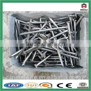 25kg Box Good Quality Polish Common Nail thumbnail-1
