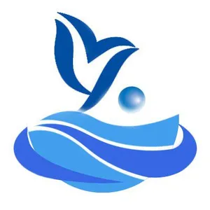 BOWShine Technology Trade Co., Limited company overview - view 1 thumbnail
