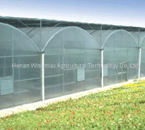 Agriculture Tomato Vegetable Double Plastic Film Inflatable Greenhouse thumbnail-5
