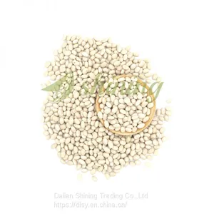 Navy White Beans thumbnail-2