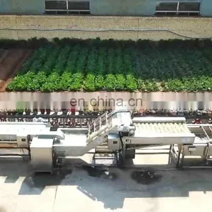 Processing Line of Small Scale Fried Potato Chips Machine Fried Potato Chips Machine thumbnail-1