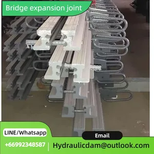 Trusted Global Supplier of High - Performance Bridge Expansion Joints: Ensuring Structural Integrity thumbnail-4