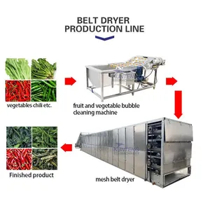 Hot Air Circulating Spices Finger Millet Vegetable Drying and Washing Machine Line Pumpkin Seeds Mesh Belt Trockner Dryer Tunnel EPC thumbnail-4