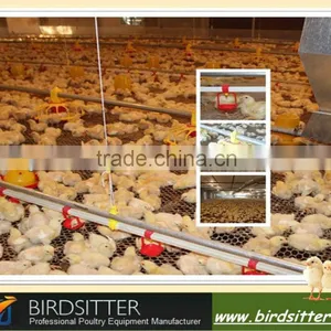 Hot Sale Modern Automatic Boiler Poultry Feeding Equipment thumbnail-1