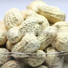 Fried Peanut in Shell thumbnail-1