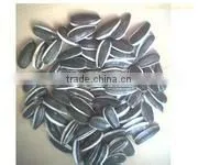 New Hybird Seeds Fengkui No.1 thumbnail-1