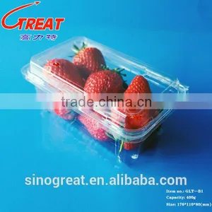 Good Quality Disposible Plastic Food PET Tray/strawberry/blueberry Clamshell Tray thumbnail-1