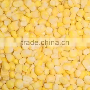 Wholesale Fresh Frozen Corn Kernel thumbnail-2