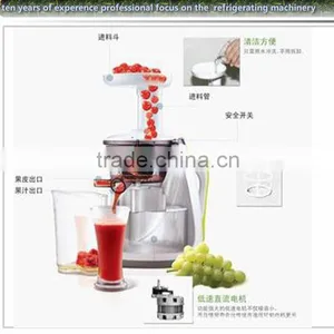 New Products Slow Juicer,household Juicer With CE Approval thumbnail-1