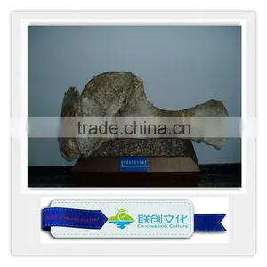 Exhibition Museum Quality Dinosaur Skeleton thumbnail-1