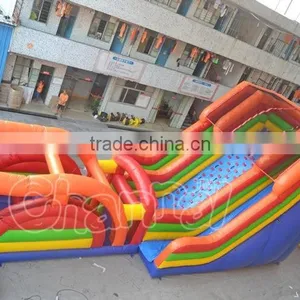 Giant Inflatable Water Slide Decal Paper Ball Bearing Slide for Adult thumbnail-4