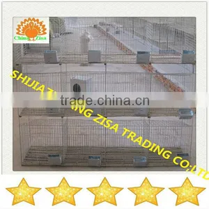 Rabbit Farming Cage Equipment in Zambia thumbnail-1