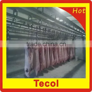 Meat Frozen Room / Cold Room thumbnail-1