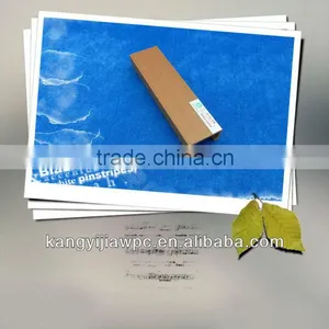 Wpc Indoor Ceiling thumbnail-1