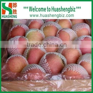Latest Red Apple Price/sweet Red Fresh Apple for Sale thumbnail-6