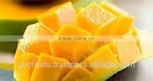 Premium Totapuri Mango Concentrate thumbnail-1