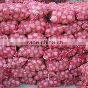 2011 Fresh Red Onion thumbnail-1