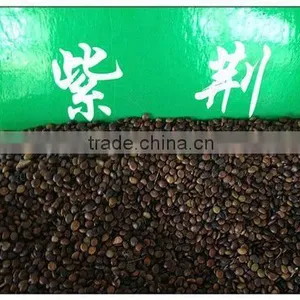 2016 High Germination Rate Chinese Redbud Seeds For Planting thumbnail-5