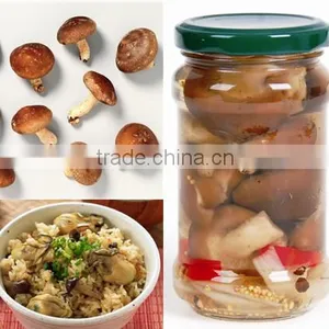 All Types of Mushrooms All Kinds of Cans Canned Food thumbnail-3