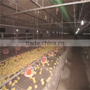 Automatic Broiler Breeding System thumbnail-5