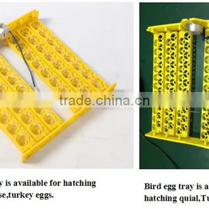 HHD Full Automatic Incubator for Sale in Malaysia With CE Approved thumbnail-3