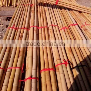 Natural Color Bamboo Cane thumbnail-1