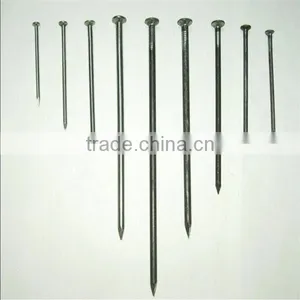 Common Nail / Common Wire Nail / Common Iron Nail thumbnail-1