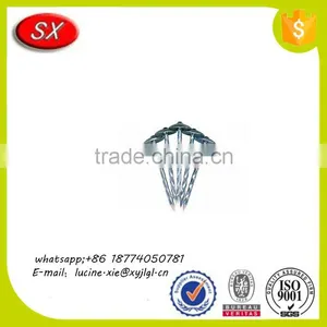 OEM Umbrella Head Galvanized Roofing Nails With Smooth Shank From China thumbnail-5