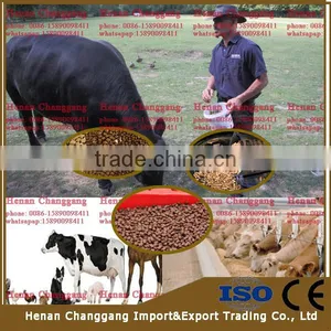 China Popular Selling Goat Feed Pellet Making Machine thumbnail-1