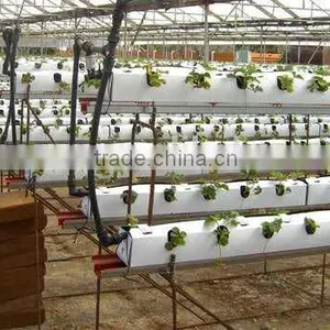 Plastic Strawberry Grow Box thumbnail-1