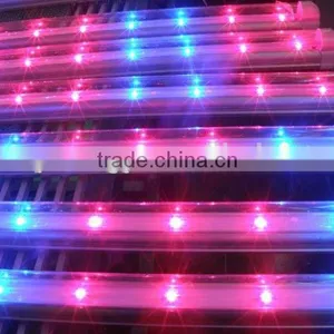 Led Grow Tube Light Full Color Led Bulb Full Spectrum 10w 20w Led Grow Light thumbnail-3
