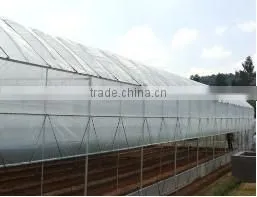 Multi-span Tunnelgreenhouse for Vagetable thumbnail-1