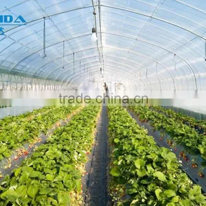 Hot Sale Galvanized Pipe With Plastic Film Greenhouse for Crops or Commercial Use thumbnail-4
