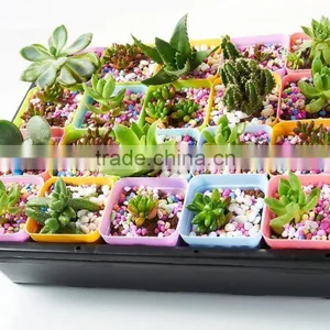 Plastic Raised Garden Bed thumbnail-4