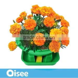 Unsoiled Farm Growing Kit Indoor Mini Gardening Set -green Globe thumbnail-1