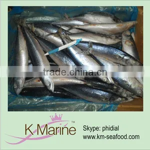 Frozen Mackerel wr Prices thumbnail-1