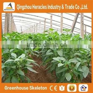 Heracles Trade Saaurance Good Quality uv Plastic Poly Tunnel Greenhouse for Sale thumbnail-4