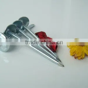 GALVANIZED UMBRELLA HEAD SMOOTH SHANK ROOFING NAILS FROM SHANDONG FACTORY thumbnail-3
