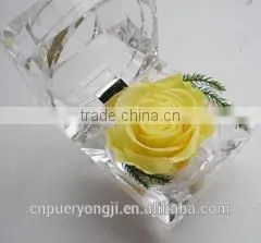 Hot Sale Long Lasting Preserved Flower Ring Box For Valentine's Day Gift thumbnail-3