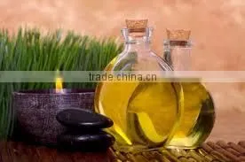 Rosemary Oil thumbnail-4