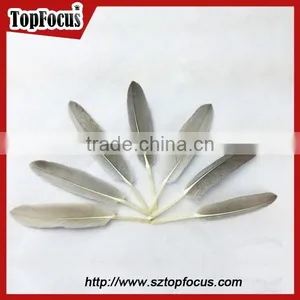 New Products Decorative Goose Feathers for Arrow Trimming Wholesale thumbnail-1