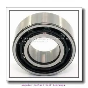 INA F-210163.8 Angular Contact Ball Bearings thumbnail-1