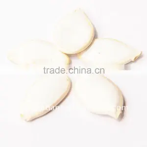 Organic Pumpkin Seed thumbnail-1