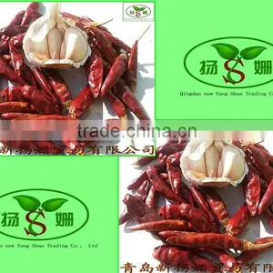 Fresh Small Chili/ Red Pepper,Cold Storage Dry Chili thumbnail-1