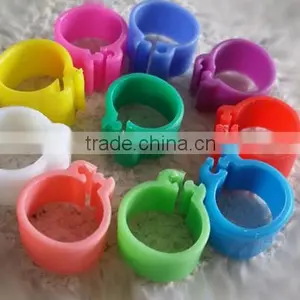 Pigeon Ring With Card thumbnail-1