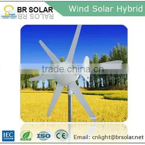 Professional Manufacuturer 5 Years Warranty Wind Solar Hybrid Power System thumbnail-3