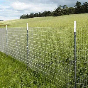 Hot Dipped Electro Galvanized Stainless Steel Welded Wire Mesh With PVC Coating thumbnail-5
